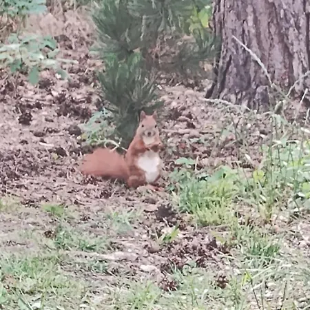 Apartamento Nad Jeziorem