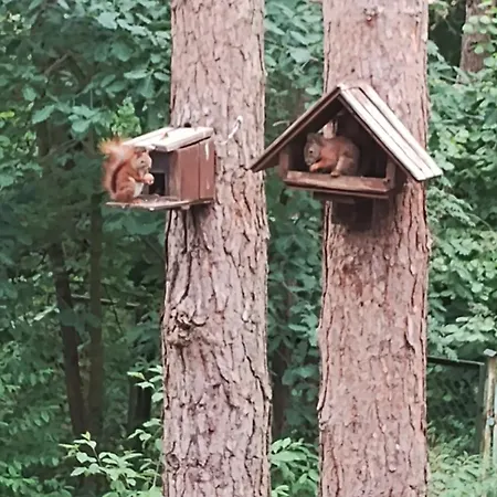 Nad Jeziorem Apartamento Brenno