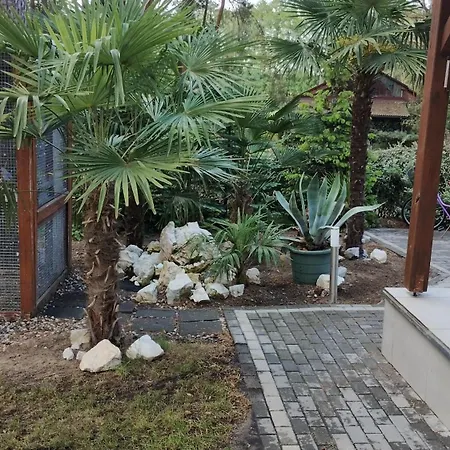 Nad Jeziorem Apartamento