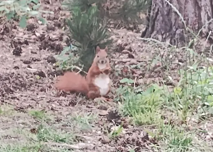Apartment Nad Jeziorem