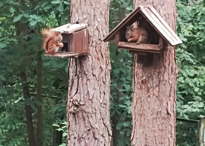 Nad Jeziorem Apartment Brenno